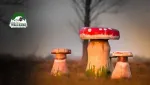 Constructii din lemn rotund masiv: foisoare, mobilier din lemn rotund - Miniatura 1