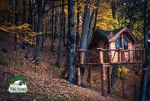 Constructii din lemn rotund masiv: foisoare, mobilier din lemn rotund - Miniatura 2