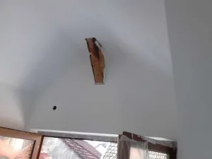 Firma de constructii executam Amenajari interioare