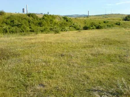 Teren-pasune 6400 mp zona montana RENTEA-Sacele(Brasov) 1 Euro/mp - Imaginea 1