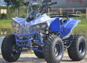 ATV Renegade 125 CC Casca Cadou NOU