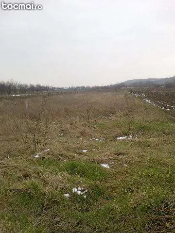 Casa 2 cam si teren la 4km de Targoviste - Imaginea 4