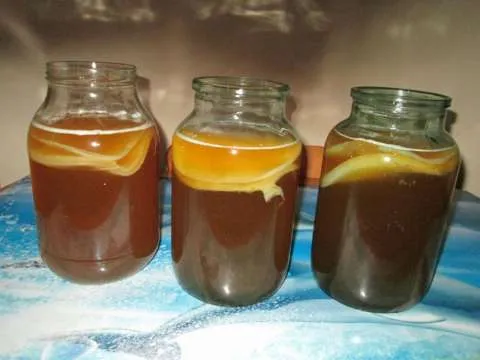 Kombucha - Imaginea 1