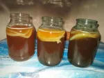 Kombucha - Miniatura 1
