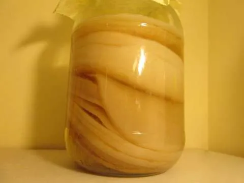 Kombucha - Imaginea 2