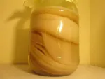Kombucha - Miniatura 2