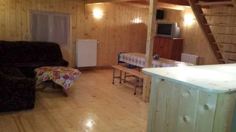 Casa de vacanta Arieseni - Imaginea 3