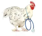 Produse premium pentru uz veterinar (vitamine, antiinflamatorii, etc.) - Miniatura 3