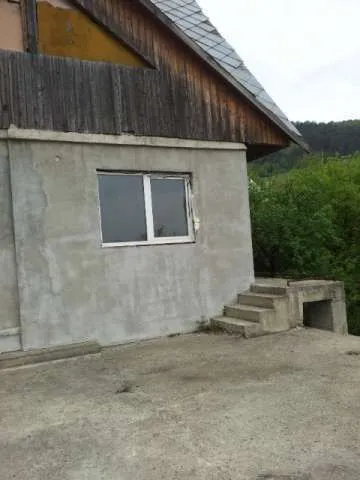 Vila Moinesti- BC Parcul cu pini - Imaginea 5