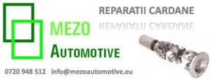 Reparatie cardan Mercedes Viano