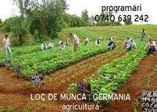 angajari germania in agricultura