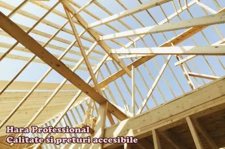 Construim case de lemn Brasov - Imaginea 2