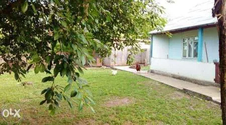 Dorohoi casa 3600mp - Imaginea 5