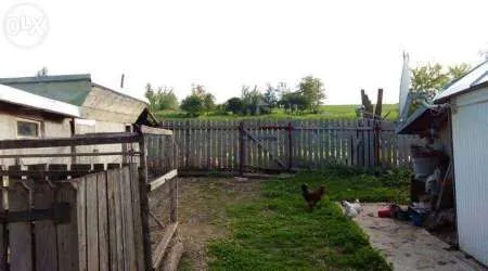 Dorohoi casa 3600mp - Imaginea 6