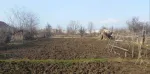 Vand casa 50 mp cu 2900 mp teren,in mun Caracal,jud Olt - Miniatura 1