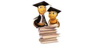 BEE SOLUTION INTREPRINDERE INDIVIDUALA