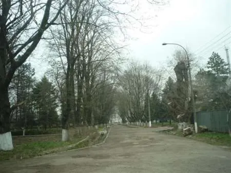 Vand teren Braila la 5 minute de oras, zona excelenta, 3400 mp, acces excelent, utilitati - Imaginea 1