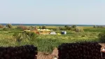 Terenuri Corbu Plaja Corbu Constanta - Miniatura 5