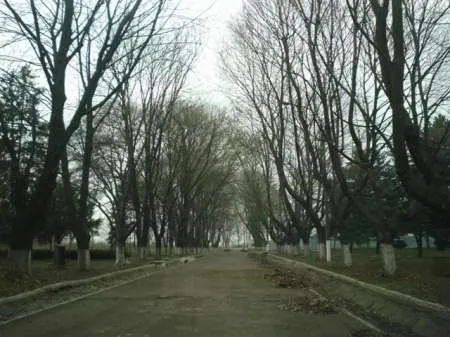 Vand teren Braila la 5 minute de oras, zona excelenta, 3400 mp, acces excelent, utilitati - Imaginea 3