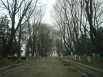 Vand teren Braila la 5 minute de oras, zona excelenta, 3400 mp, acces excelent, utilitati - Miniatura 3