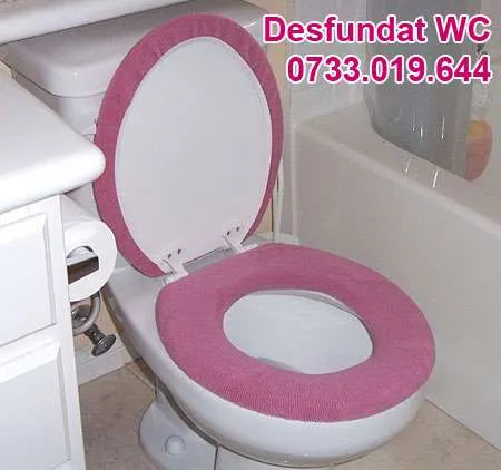 Desfundare WC in Sectorul 2 - Imaginea 1
