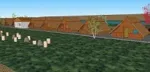 Investitie in Delta Dunarii - Miniatura 3