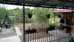 Casa Mara - Miniatura 2
