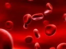 Furnizam hemoglobina pentru furaje si nutreturi - Imaginea 1
