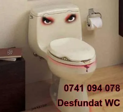 Instalator desfunda WC Bucuresti - Imaginea 1