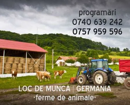 angajari germania in ferme - Imaginea 1