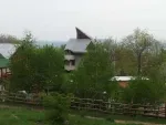 Vila Moinesti- BC Parcul cu pini - Miniatura 12