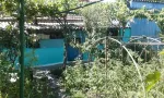 ocazie unica - Miniatura 6