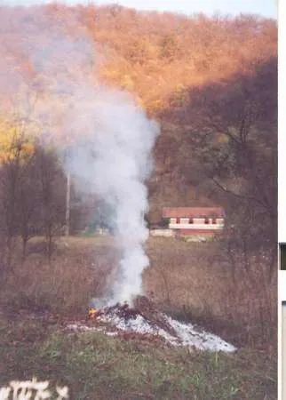 Teren in comuna Toplita, nr.20, (Hunedoara) - Imaginea 2