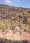 Teren in comuna Toplita, nr.20, (Hunedoara) - Miniatura 3