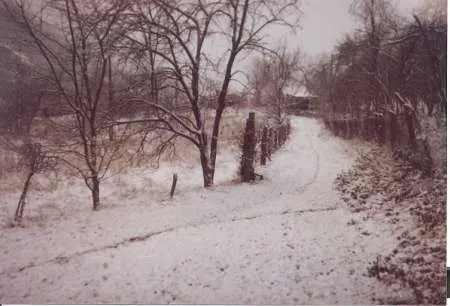 Teren in comuna Toplita, nr.20, (Hunedoara) - Imaginea 4
