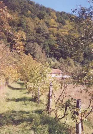 Teren in comuna Toplita, nr.20, (Hunedoara) - Imaginea 5