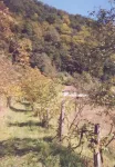 Teren in comuna Toplita, nr.20, (Hunedoara) - Miniatura 5