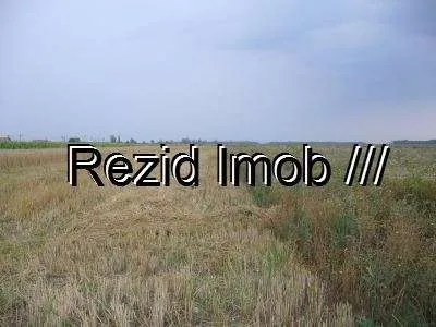 VANZARE TEREN AGRICOL 11 HA DAMBOVITA - Imaginea 1