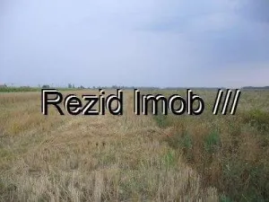VANZARE TEREN AGRICOL 11 HA DAMBOVITA