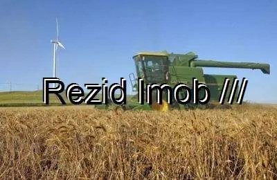 VANZARE TEREN AGRICOL 1000 HA GRUIA - Imaginea 1