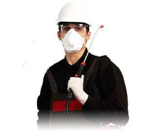 Servicii de deratizare, dezinsectie si dezinfectie - Imaginea 1