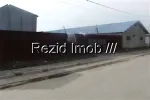 Vanzare teren intravilan 1068 mp in Mogosoaia, 35Euro/mp - Miniatura 1