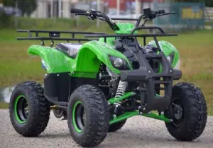 ATV Renegade 125 CC Import Germania