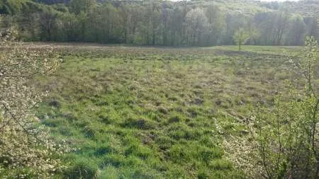 Urgent!!! Vand teren Draganu - Imaginea 3