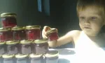 a Vand GOJI PROASPETE , siropuri , dulceturi produse natural. - Miniatura 2