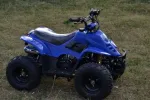 ATV Big Foot 125cc modele 7RG - Miniatura 1
