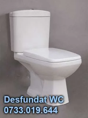 Solutii de desfundat wc - Imaginea 1