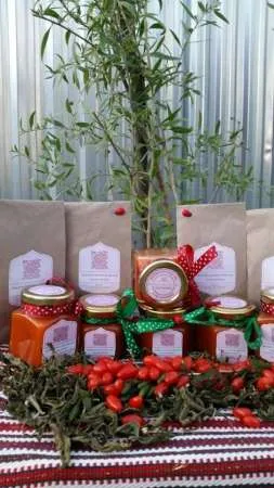 Plante goji de calitate livrate cu certificat de calitate si factura - Imaginea 3