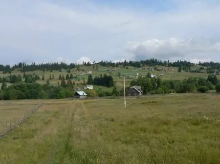 VÄƒnzare 20.195mÂ² teren. Poiana Stampei - - Imaginea 2