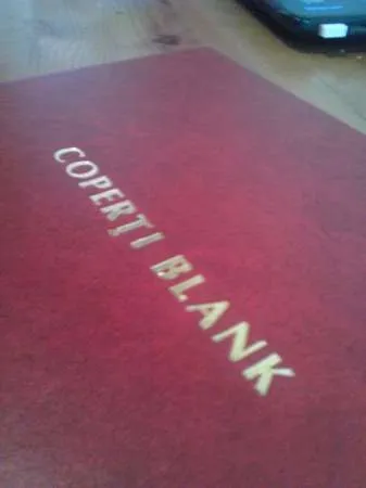 Coperti blank pe surub pentru audley - Imaginea 2